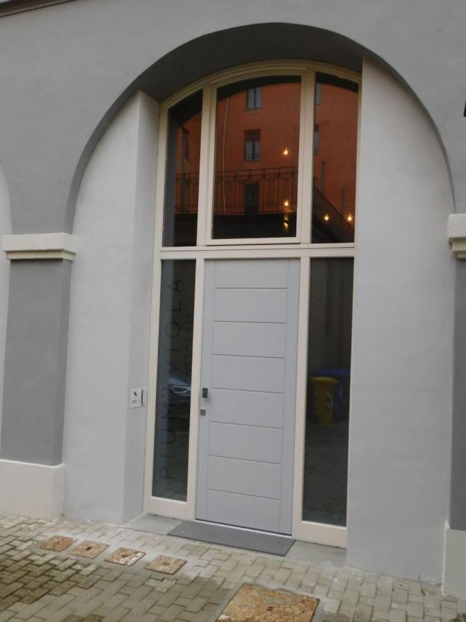 Piumaviola Beds & Apartments Parma Exteriér fotografie